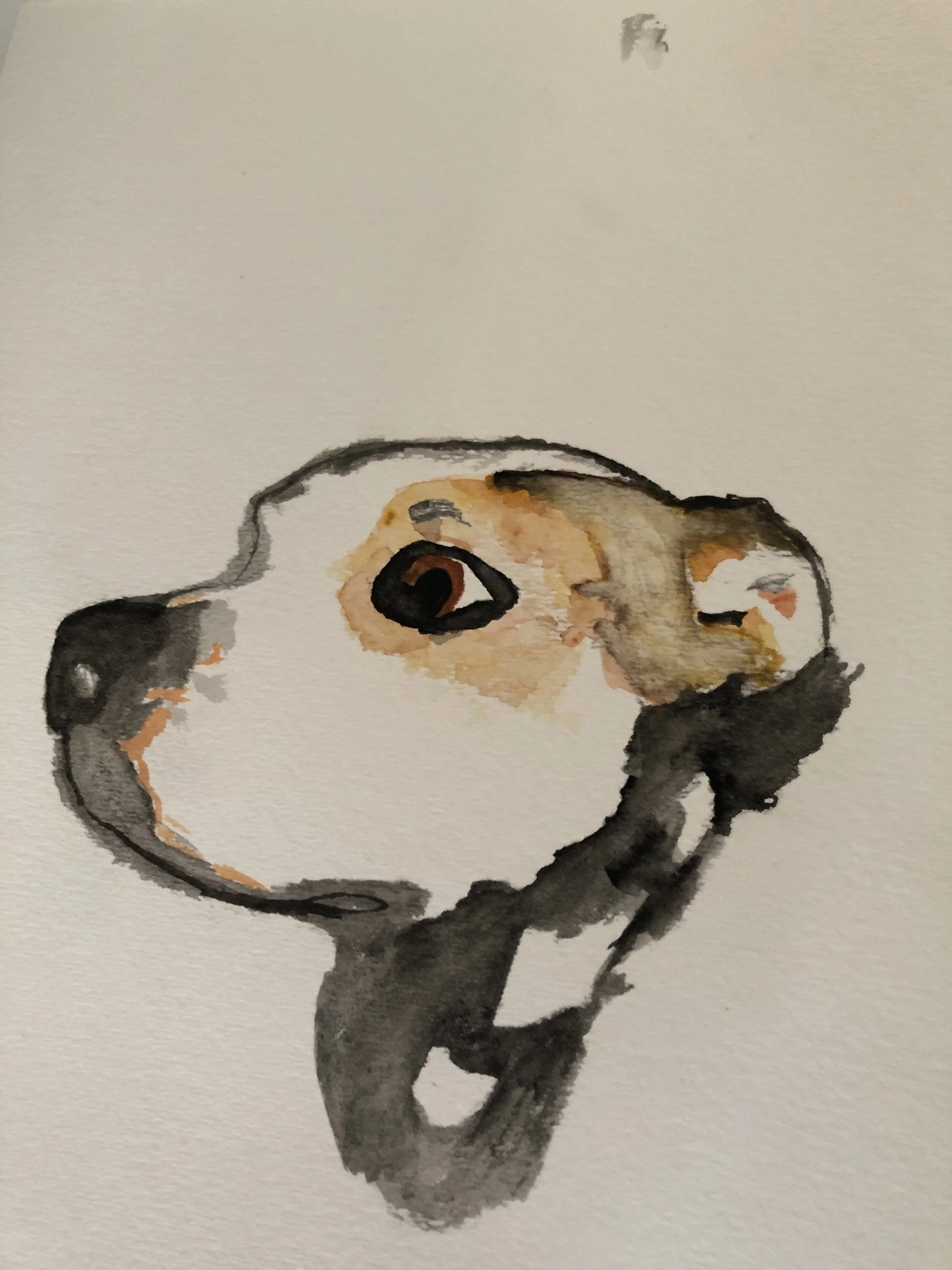 Custom Commissioned Paintings